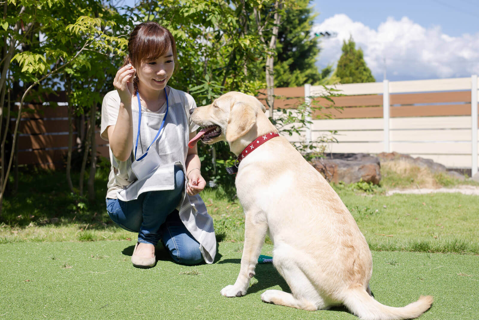 ブリーダーになるには?必要な資格や仕事内容を解説！