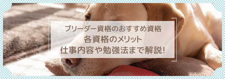 ブリーダーになるために必要な資格とは？活かせる職場やおすすめの資格を紹介