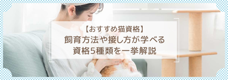 【おすすめ猫資格】飼育方法や接し方が学べる資格５種類を一挙解説