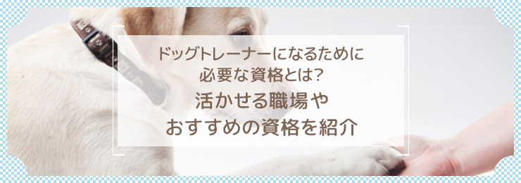 ドッグトレーナーになるために必要な資格とは？活かせる職場やおすすめの資格を紹介