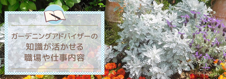 ガーデニングアドバイザーの知識が活かせる職場や仕事内容