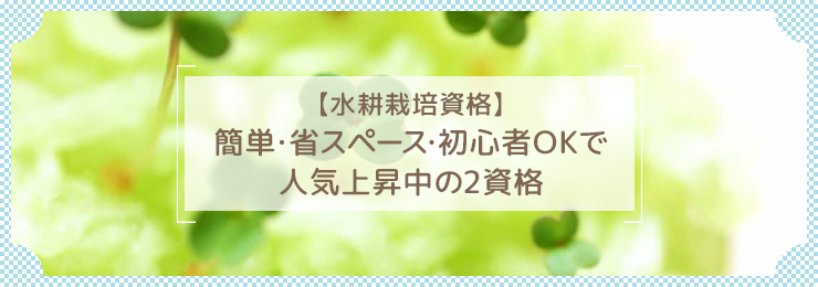 【水耕栽培資格】簡単・省スペース・初心者OKで人気上昇中の2資格