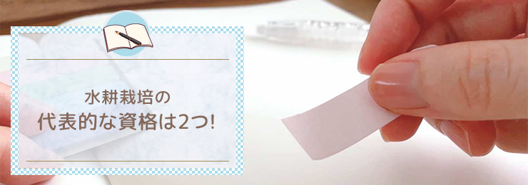 水耕栽培の代表的な資格は2つ！