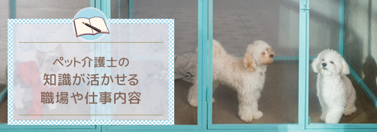 ペット介護士の知識が活かせる職場や仕事内容