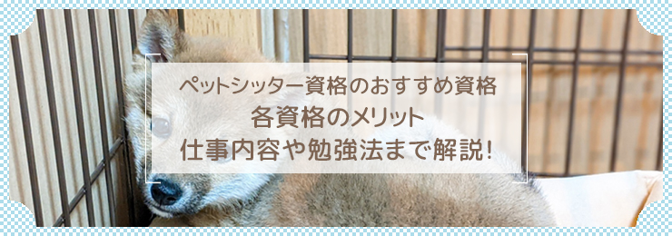 ペットホテルスタッフになるために必要な資格とは？活かせる職場やおすすめの資格を紹介