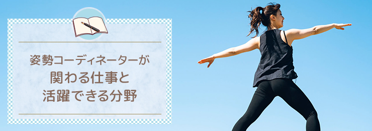 姿勢コーディネーターが関わる仕事と、活躍できる分野